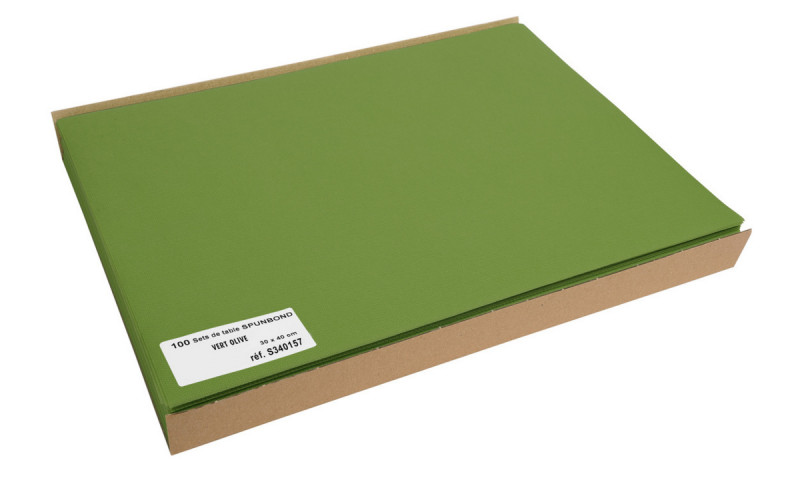 Set de table vert olive spunbond 30x40 mm (100 pièces)