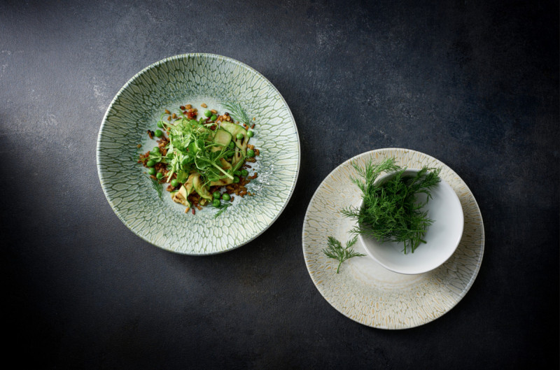 Assiette à bord droit vert porcelaine vitrifiée Ø 21 cm Butterfly Dudson